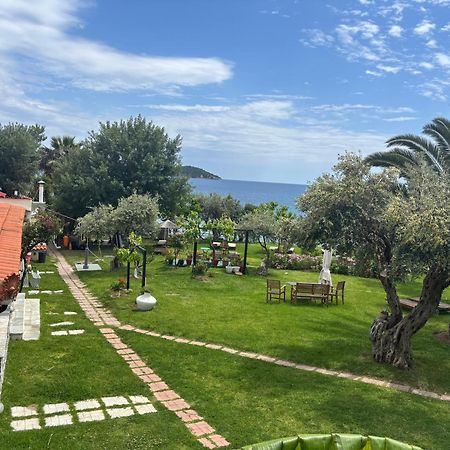 Angeliki Beach Hotel Megali Ammos  Eksteriør billede